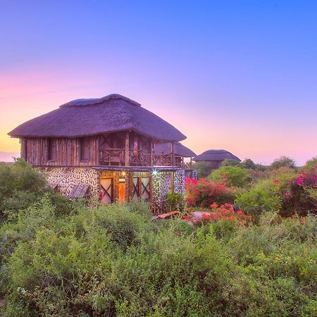 Vila Manyara Wildlife Safari Camp Zanzibar Exteriér fotografie